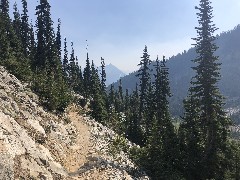 Maple Heather Trail, WA